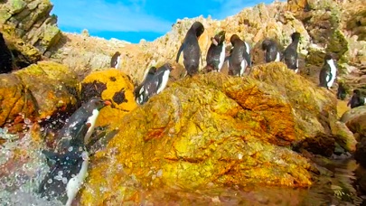 Virtual Reality OCEANS! screenshot 2