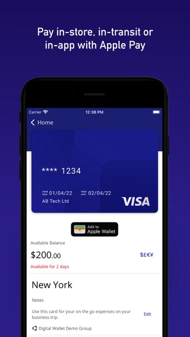 Visa Commercial Pay screenshot 4