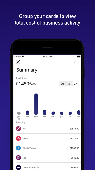 Visa Commercial Pay screenshot 1