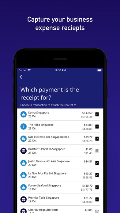 Visa Commercial Pay screenshot 2