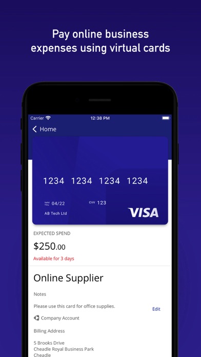 Visa Commercial Pay screenshot 3