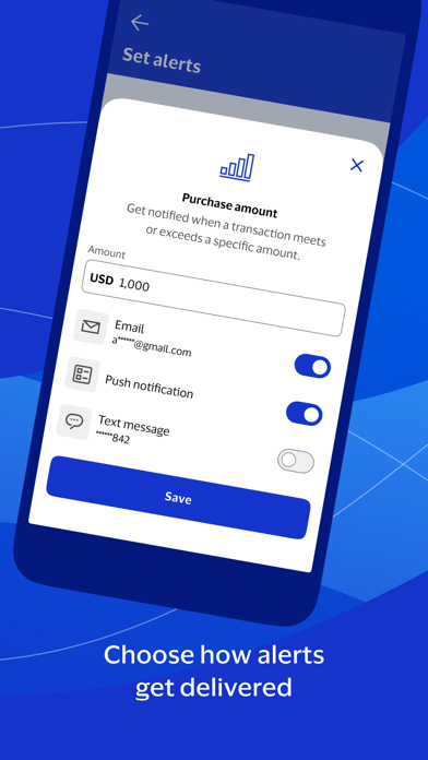 Visa Purchase Alerts screenshot 1