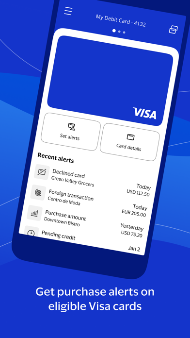 Visa Purchase Alerts screenshot 3
