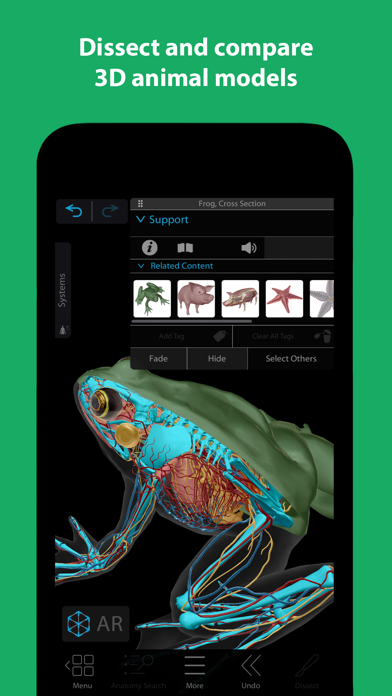 Visible Biology screenshot 5