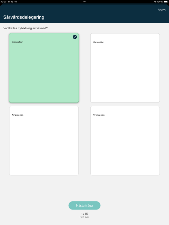 Visible care screenshot 2
