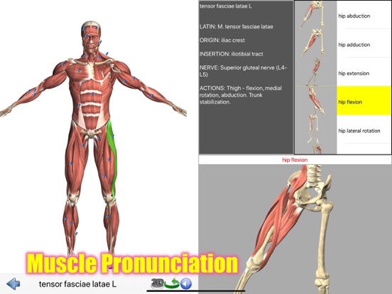 Visual Anatomy Lite screenshot 9