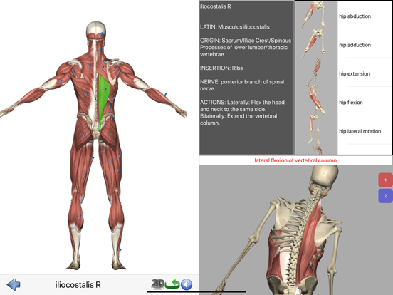 Visual Anatomy Lite screenshot 6