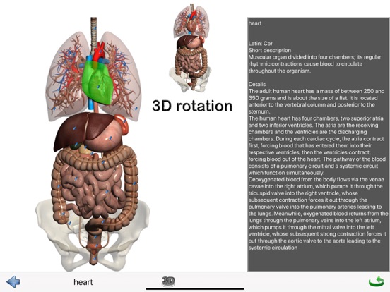 Visual Anatomy Lite screenshot 5
