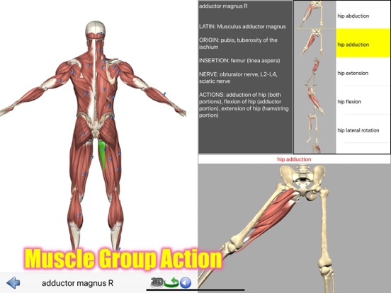 Visual Anatomy Lite screenshot 8