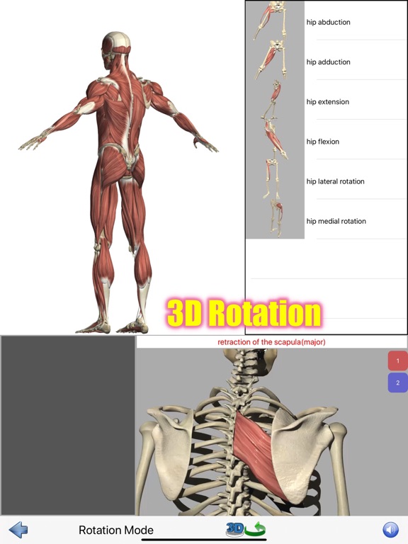 Visual Anatomy Lite screenshot 4