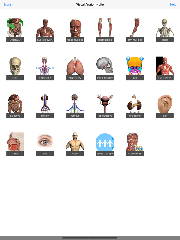 Visual Anatomy Lite screenshot 3