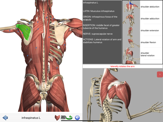 Visual Anatomy screenshot 8