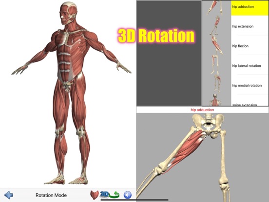 Visual Anatomy screenshot 6