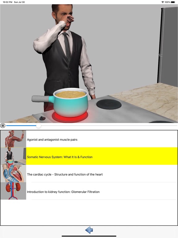 Visual Anatomy screenshot 1
