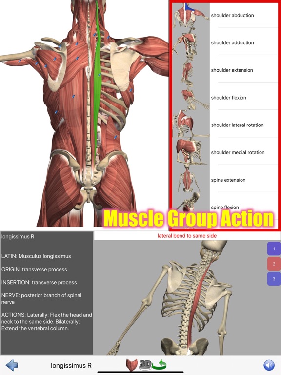 Visual Anatomy screenshot 5