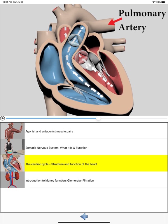 Visual Anatomy screenshot 9