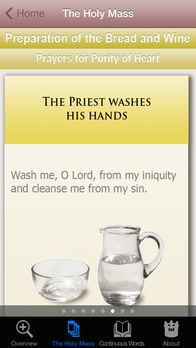Visual Guide to the Holy Mass screenshot 3
