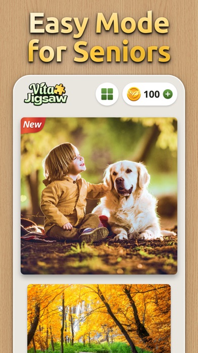 Vita Jigsaw for Seniors screenshot 1