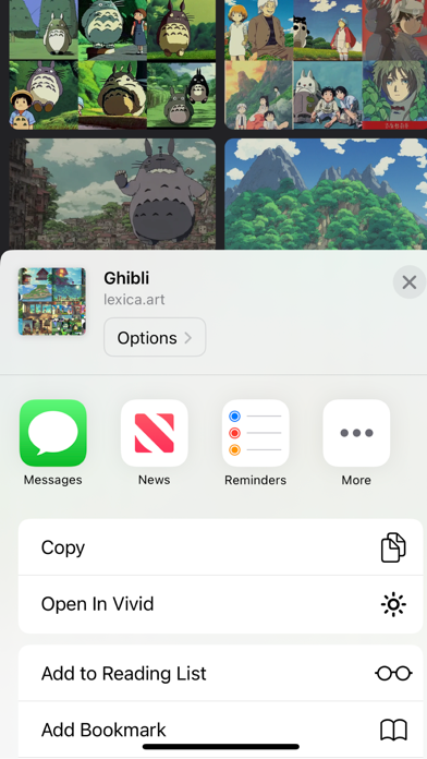 Vivid Browser screenshot 3