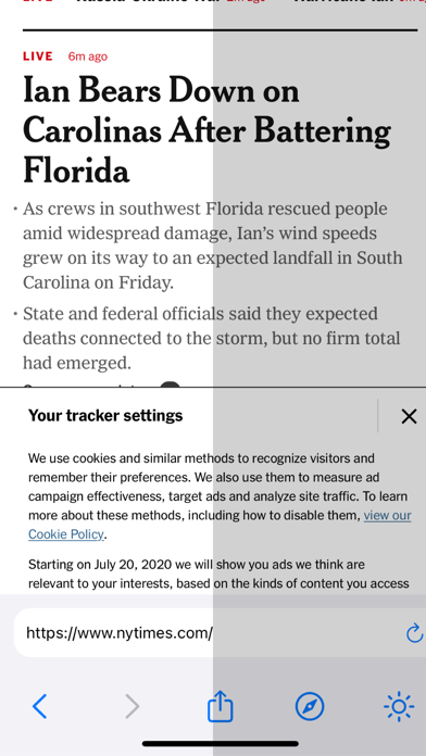 Vivid Browser screenshot 4