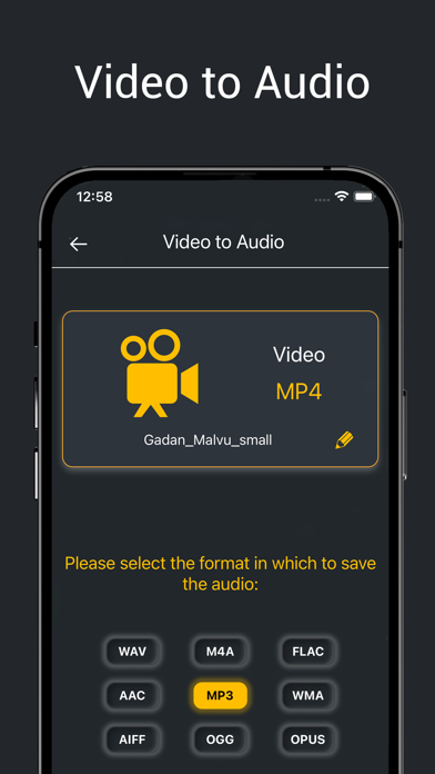 Vocal Remover, Audio Extractor screenshot 2