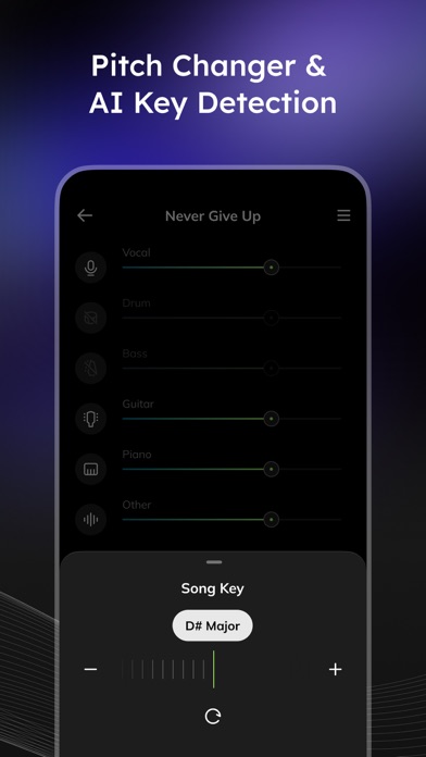Vocal Remover - Musiclab screenshot 1