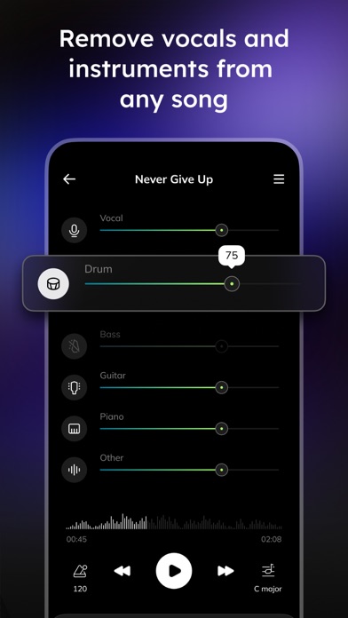 Vocal Remover - Musiclab screenshot 6
