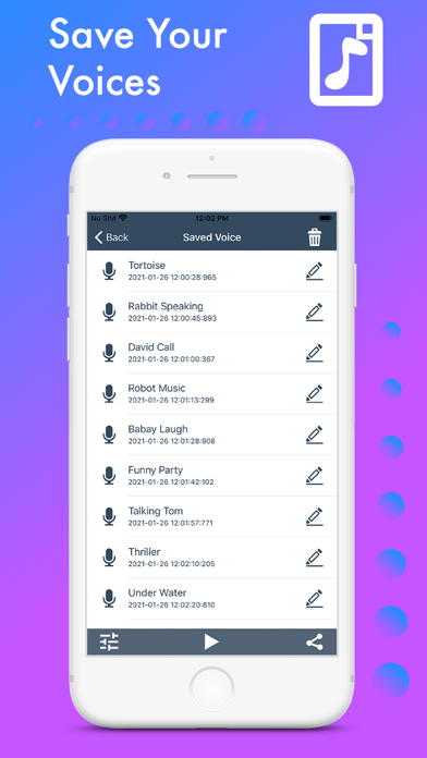 Voice Changer ' screenshot 2