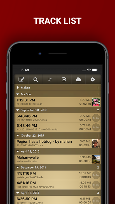 Voice Record Pro screenshot 1