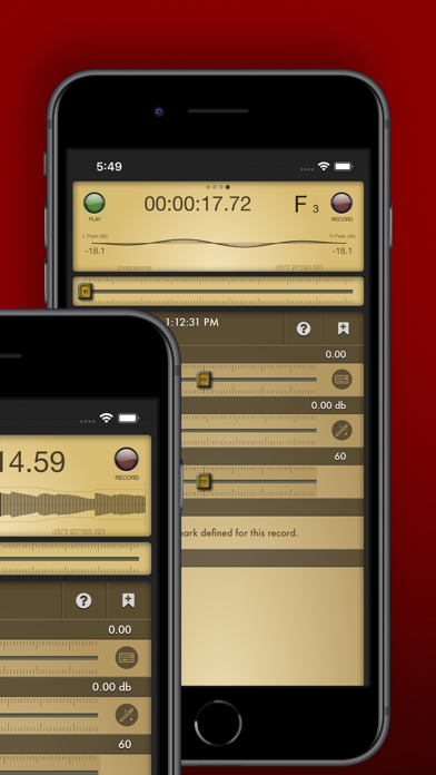 Voice Record Pro screenshot 3