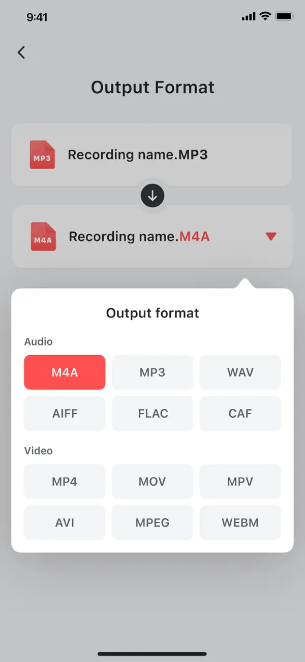 Voice Recorder — Audio Memos screenshot 2
