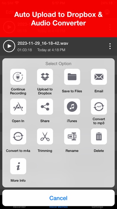 Voice Recorder Lite: Record HD screenshot 2