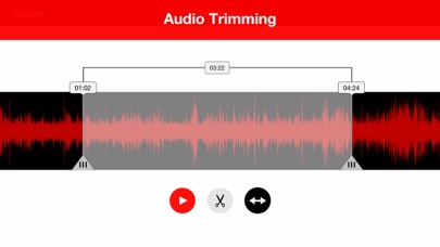 Voice Recorder Lite: Record HD screenshot 3