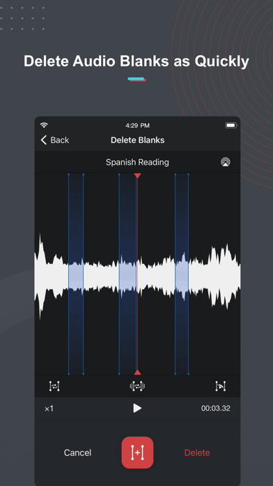 Voice Recorder & Notes Pro screenshot 1