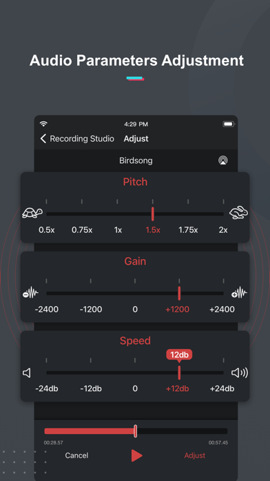 Voice Recorder & Notes Pro screenshot 2