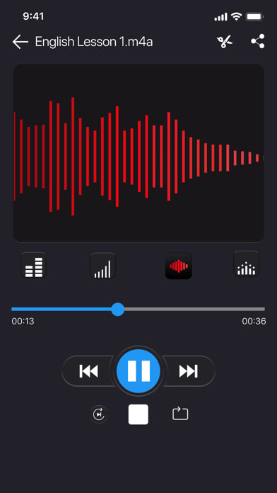 Voice Recorder - VOZ Pro screenshot 1
