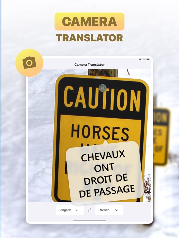 Voice Translator: Translate AI screenshot 2