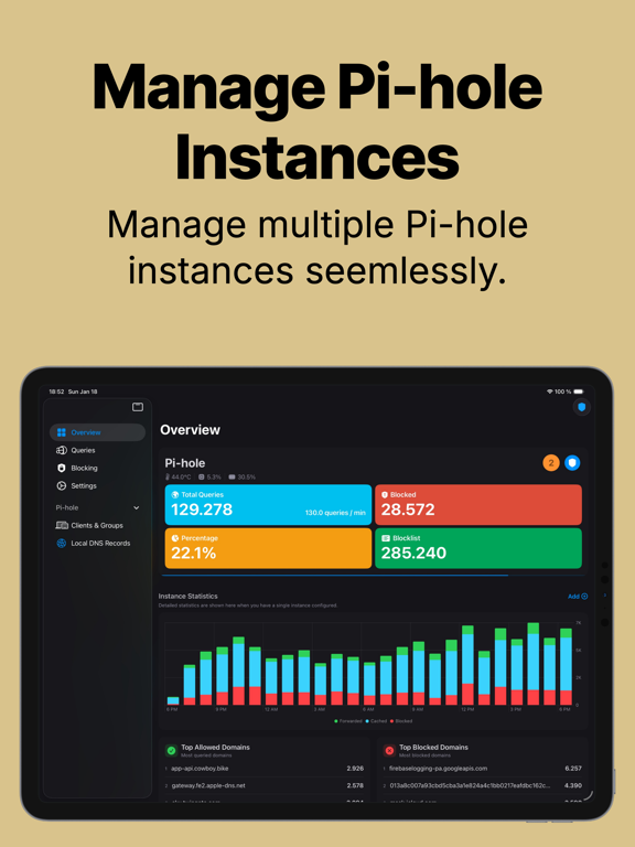 Void: Pi-hole Manager screenshot 1