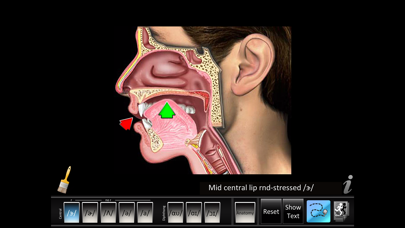 Vowels Central Diphthong screenshot 5
