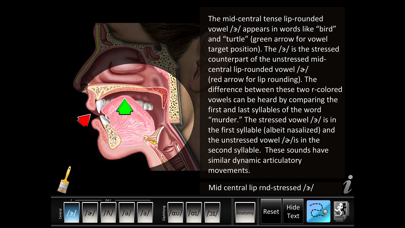 Vowels Central Diphthong screenshot 4
