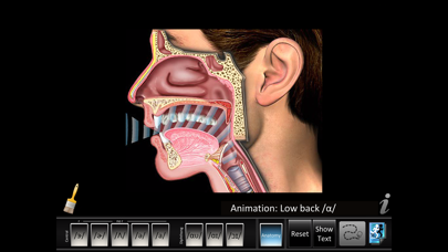 Vowels Central Diphthong screenshot 2