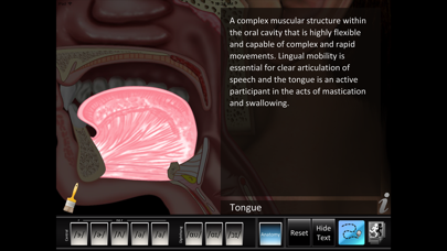 Vowels Central Diphthong screenshot 3