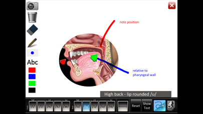 Vowels Front Back screenshot 1