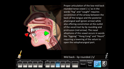Vowels Front Back screenshot 4