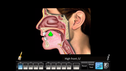 Vowels Front Back screenshot 5