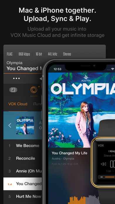 VOX – MP3 & FLAC Music Player screenshot 4