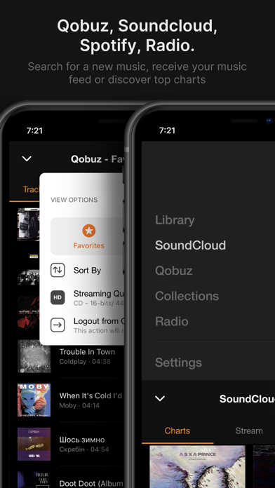 VOX – MP3 & FLAC Music Player screenshot 3