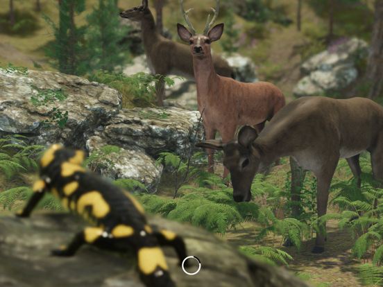 VR Zoo Animals Roller Coaster screenshot 7