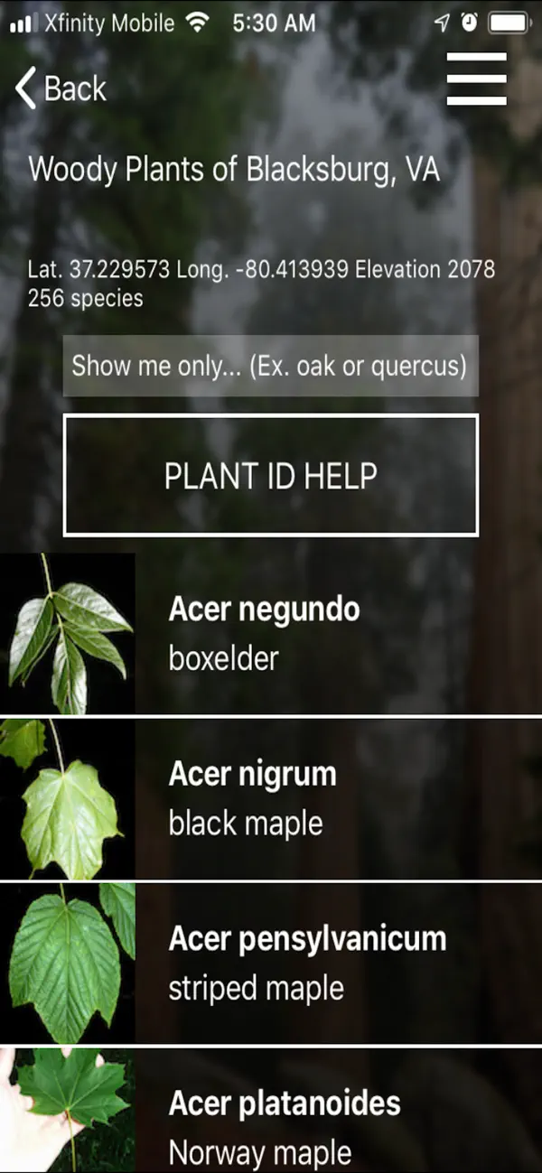 vTree screenshot 4