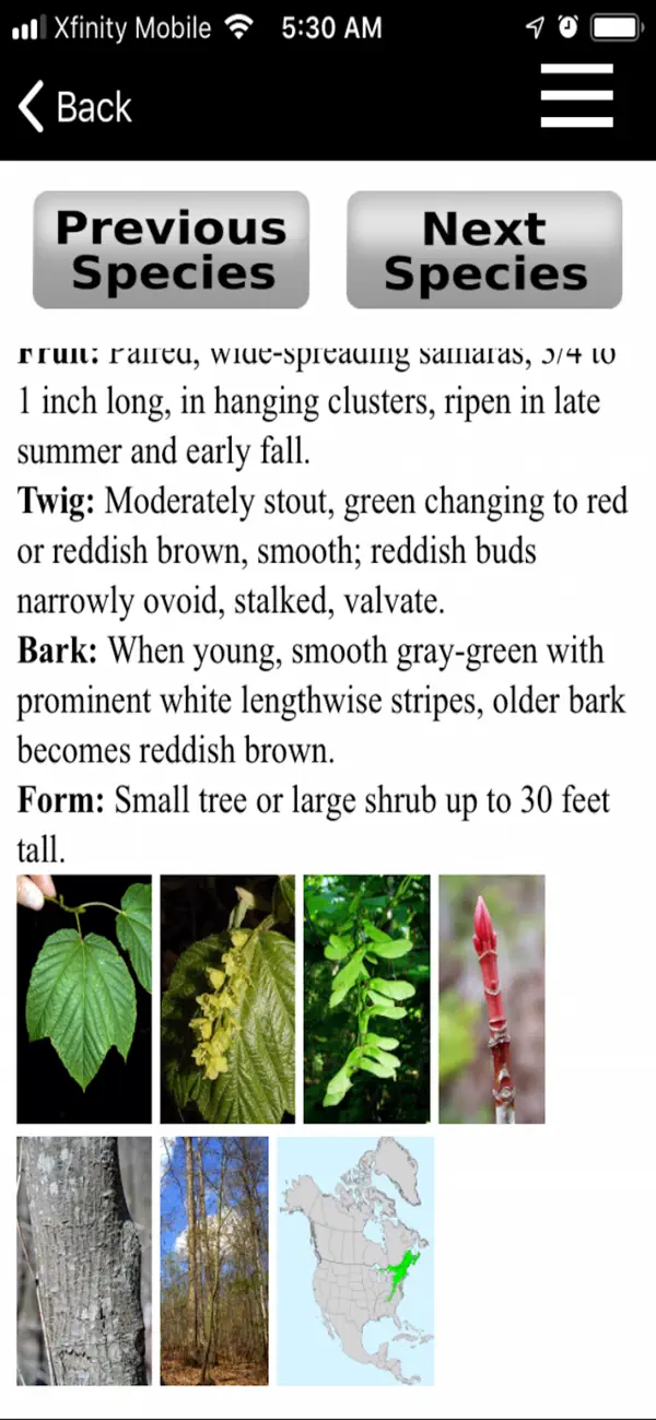 vTree screenshot 1